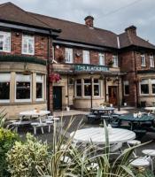 The Black Bull - image 1