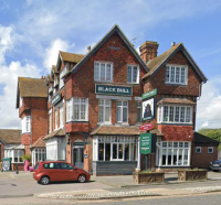 Black Bull - Hungry Horse - image 1