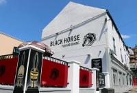 Black Horse - image 1