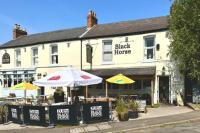 The Black Horse - image 1