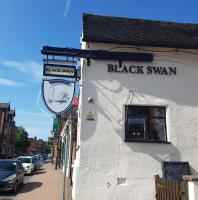 Black Swan - image 1
