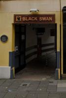 The Black Swan - image 1