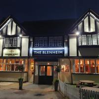 The Blenheim Arms - image 1