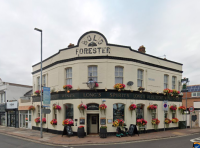 The Bold Forester - image 1