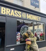 Brass Monkey Beer Boutique