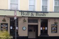 Bull and Bush - image 1