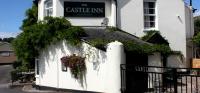Castle Inn - image 1