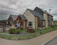 Chalkhill Blue - image 1