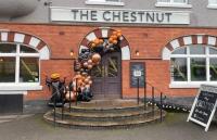 The Chestnut - image 1