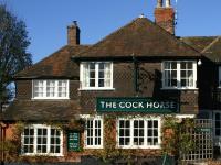 The Cock Horse - image 1