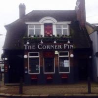 The Corner Pin - image 1