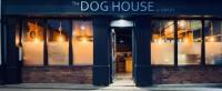 The Dog House - image 1