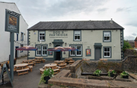 The Dog Music & Sports Bar - image 1