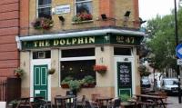 The Dolphin - image 1