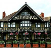 The Elm Tree - image 1