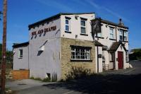 The Fox And Grapes - image 1