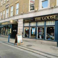 The Goose - image 1