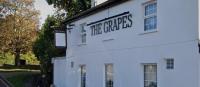 The Grapes - image 1