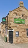 The Green Tree - image 1