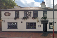 The Guinea - image 1