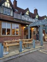 Hare And Hounds - image 1
