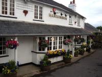 HARE AND HOUNDS - image 1