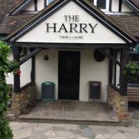 The Harry - image 1