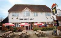 The Herald - image 1