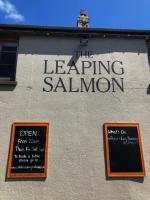 The Leaping Salmon - image 1