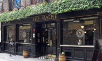 The Magpie - image 1