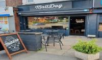 Malt Dog - image 1
