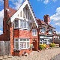 THE MUSKETEER - image 1