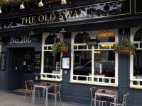 Old Swan - image 1