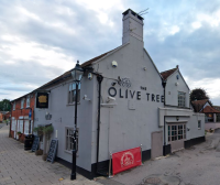 The Olive Tree - image 1
