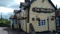 PEEL ARMS - image 1