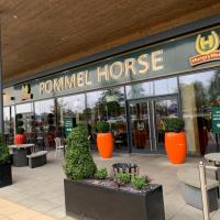 The Pommel Horse - image 1