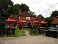 The Red Dog Cafe - image 1