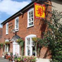 The Red Lion PH - image 1