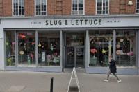 Slug and Lettuce - image 1