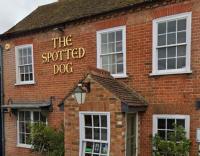 The Spotted Dog - image 1