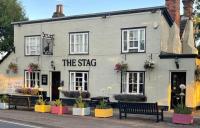 The Stag - image 1