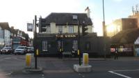 The Swan - image 1
