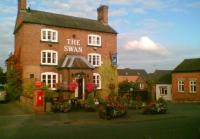 THE SWAN - image 1