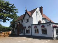 The Hook/Luciano'S - image 1