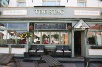 The Stag PH - image 1