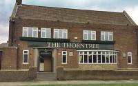 The Thorntree - image 1
