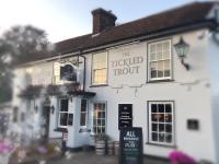The Tickled Trout - image 1