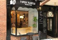 Tipsy Turtle - image 1