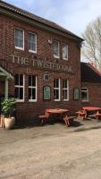 The Twisted Oak - image 1