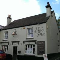 The Vine Inn - image 1